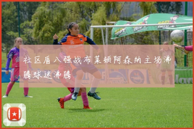 社区盾八强战布莱顿阿森纳主场沸腾球迷沸腾