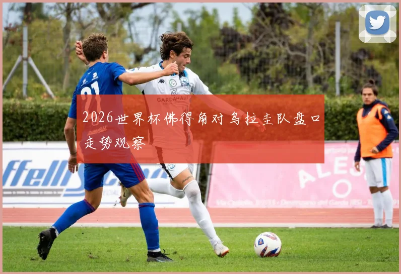 2026世界杯佛得角对乌拉圭队盘口走势观察