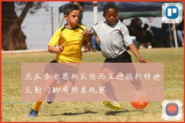 厄瓜多尔恩纳瓦伦西亚迎战科特迪瓦射门脚感热度观察