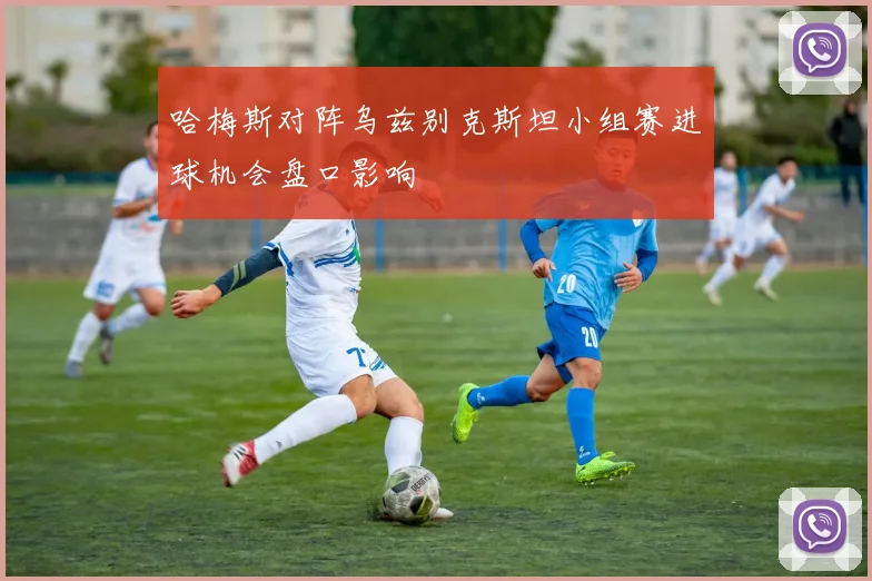 哈梅斯对阵乌兹别克斯坦小组赛进球机会盘口影响